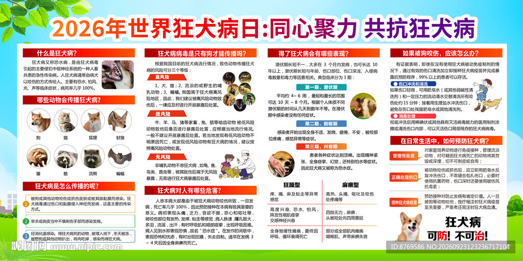 预防狂犬病