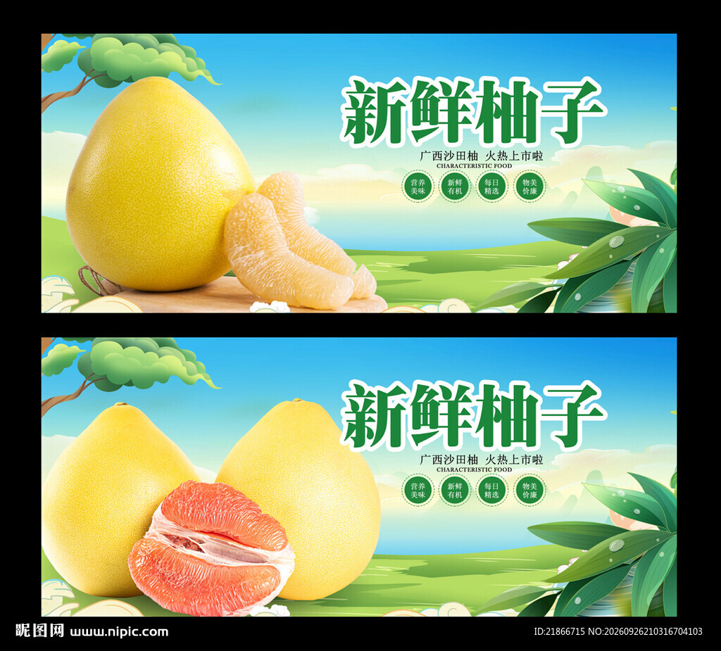 柚子