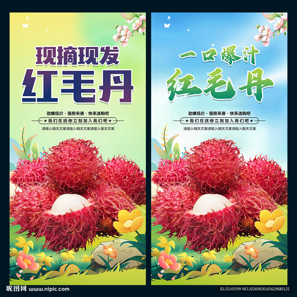 红毛丹