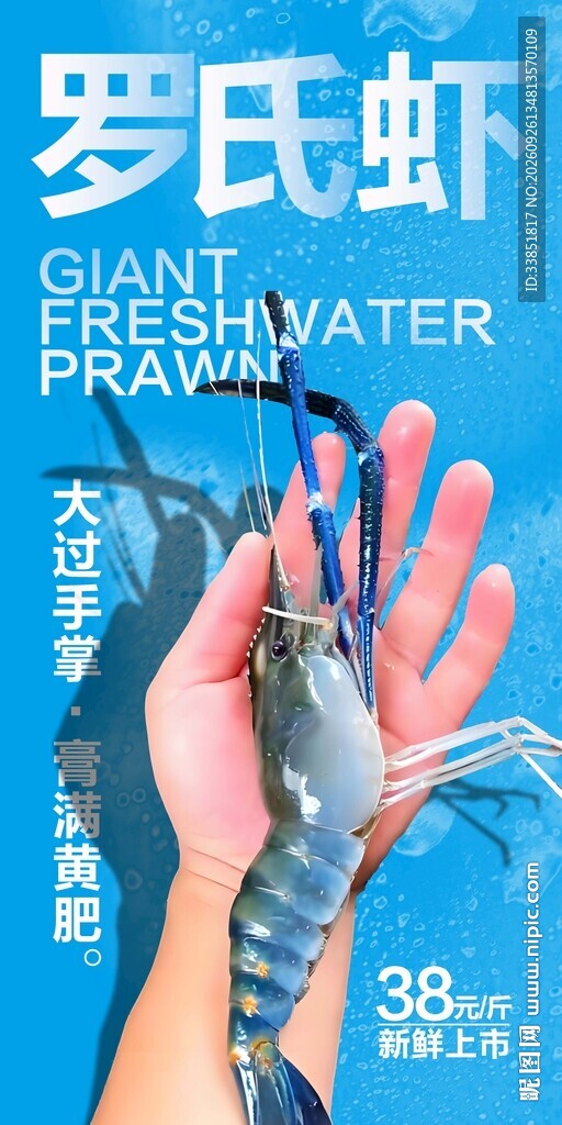 罗氏虾 