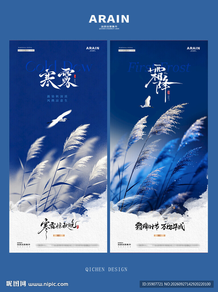 寒露霜降芦苇风景海报