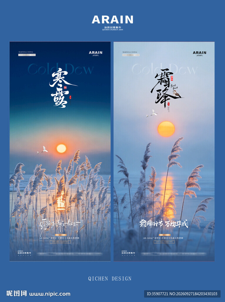 寒露霜降芦苇风景海报