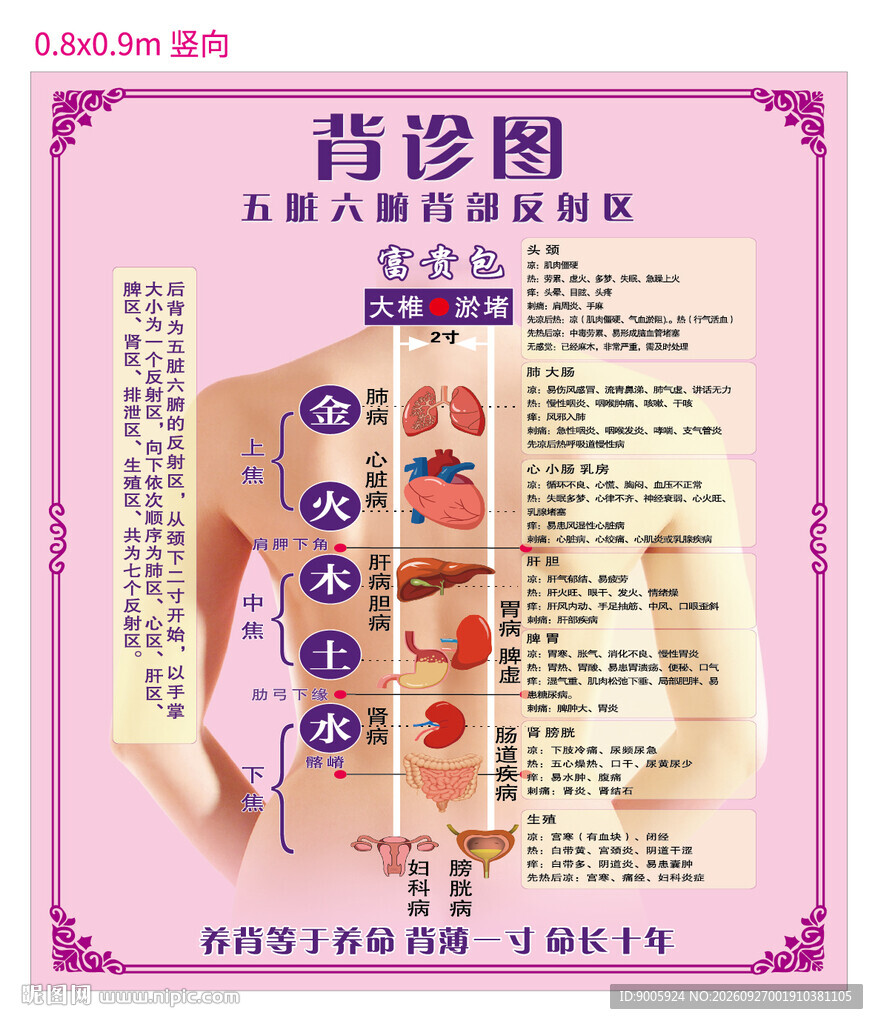 中医背诊示意图
