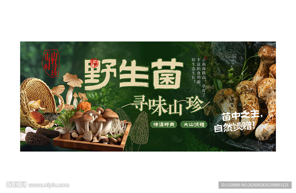 野生菌