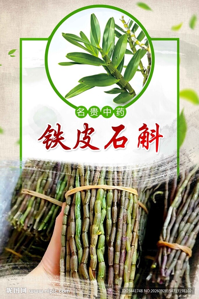 铁皮石斛