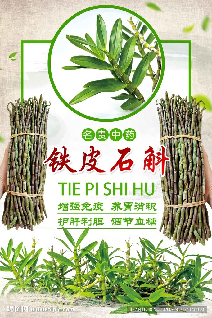 铁皮石斛