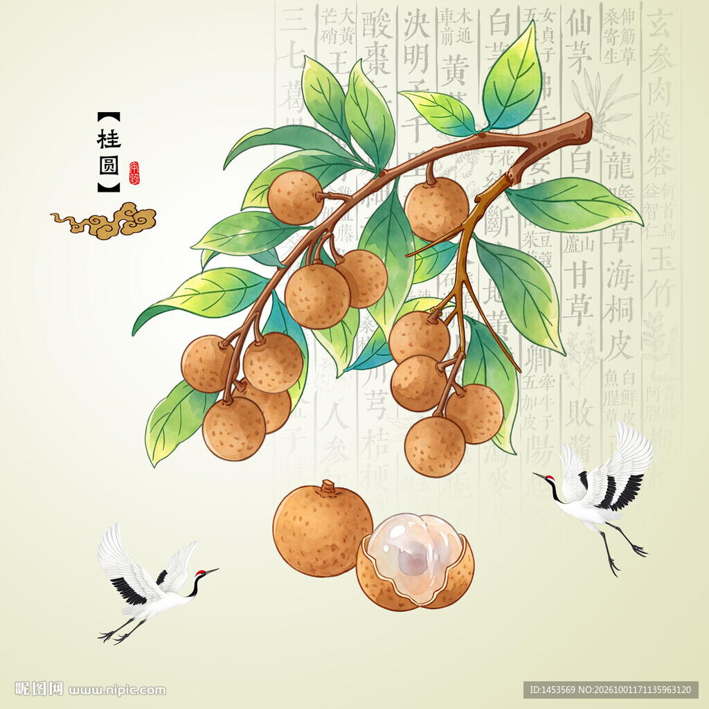 桂圆