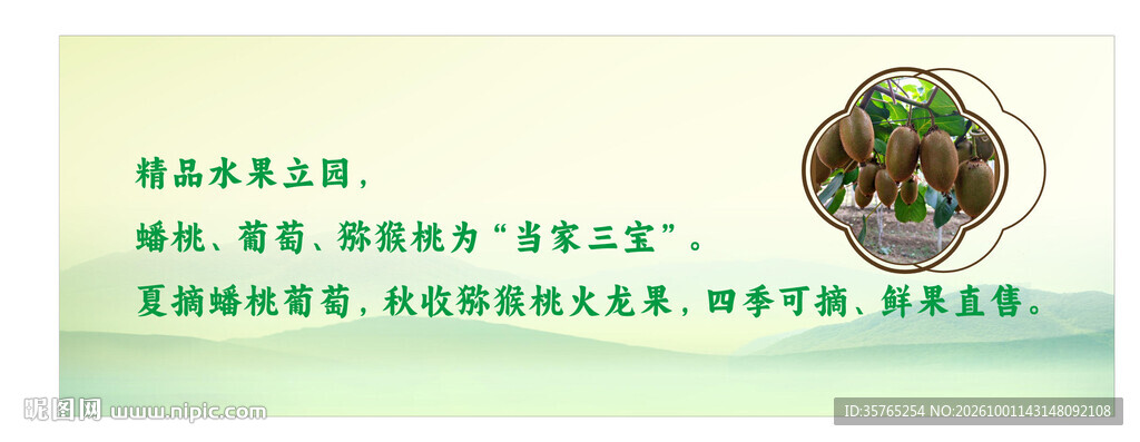 猕核桃背景文化墙绿色清新海报