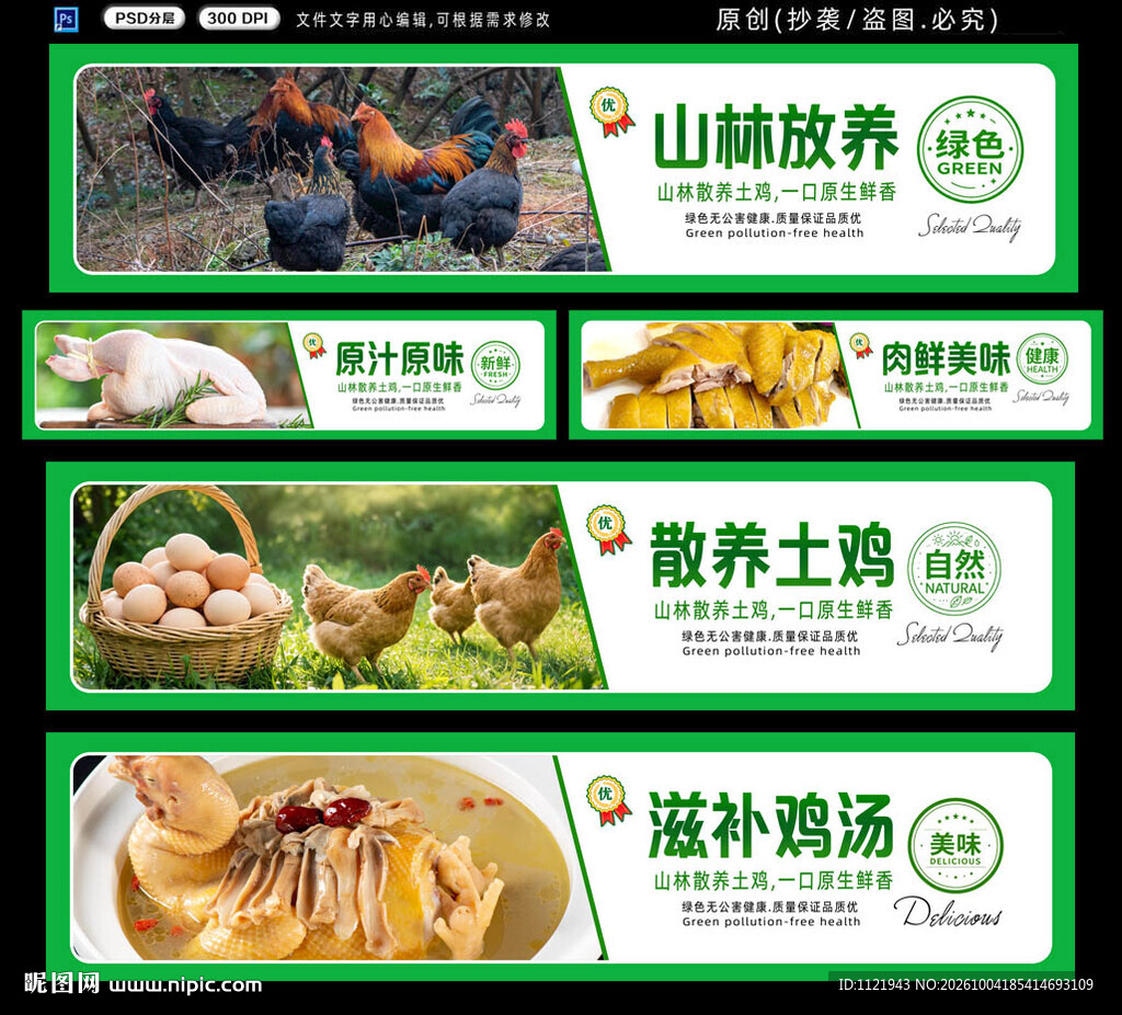  散养土鸡 