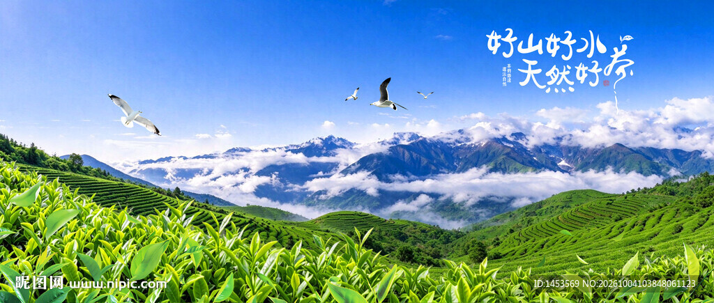 茶园
