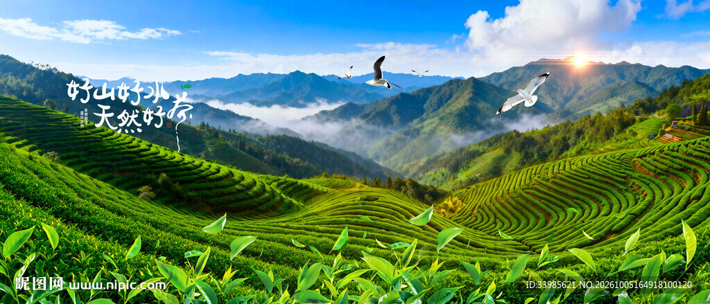 茶山