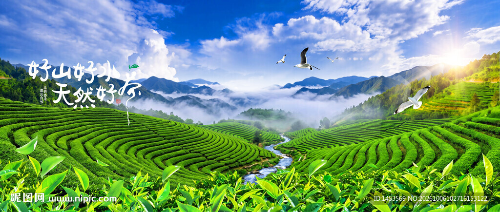 茶山