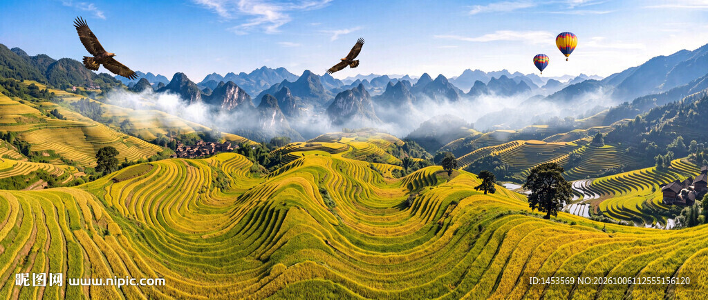 梯田