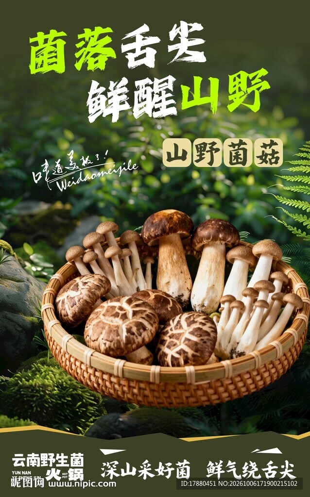 野生菌海报