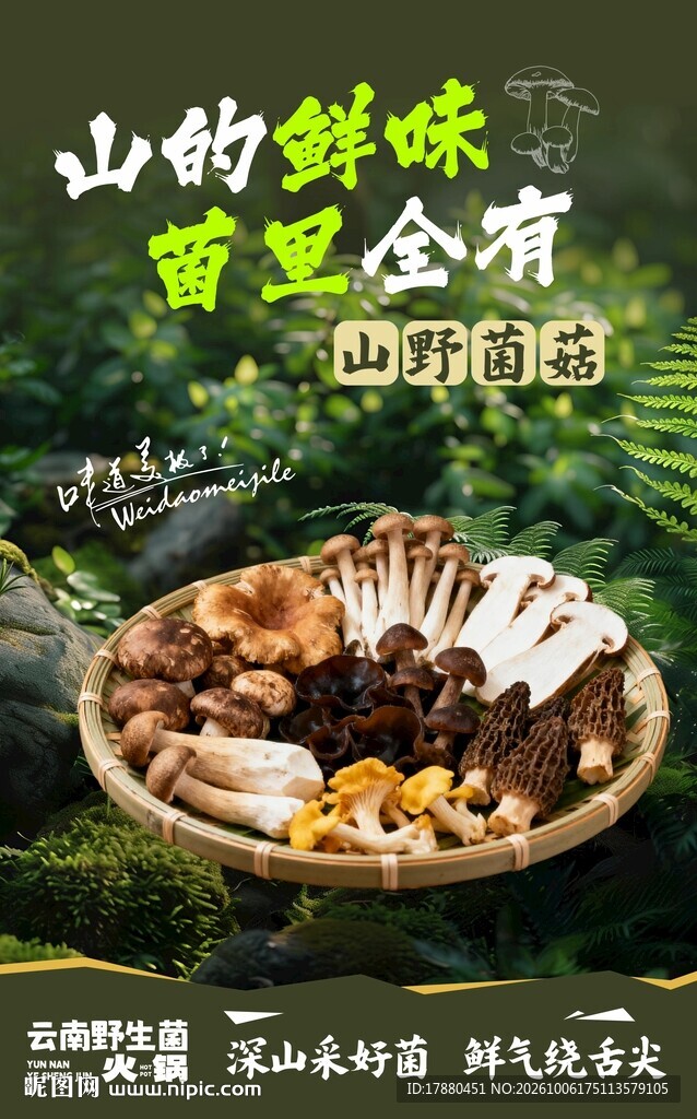野生菌海报