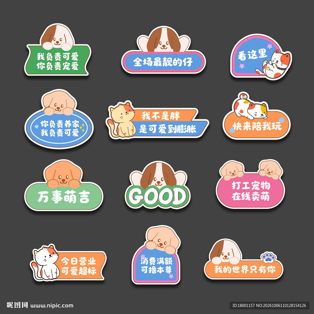 宠物手举牌