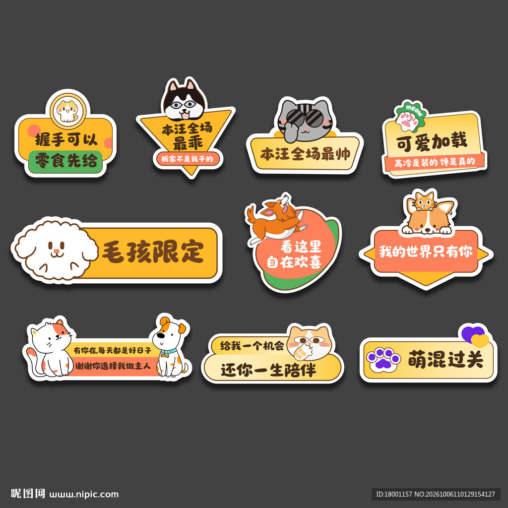 宠物手举牌