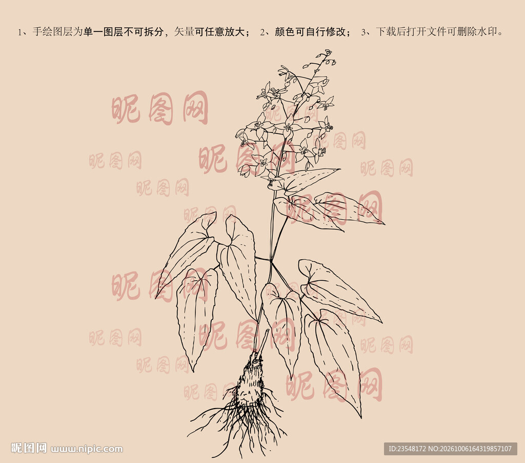 淫羊藿