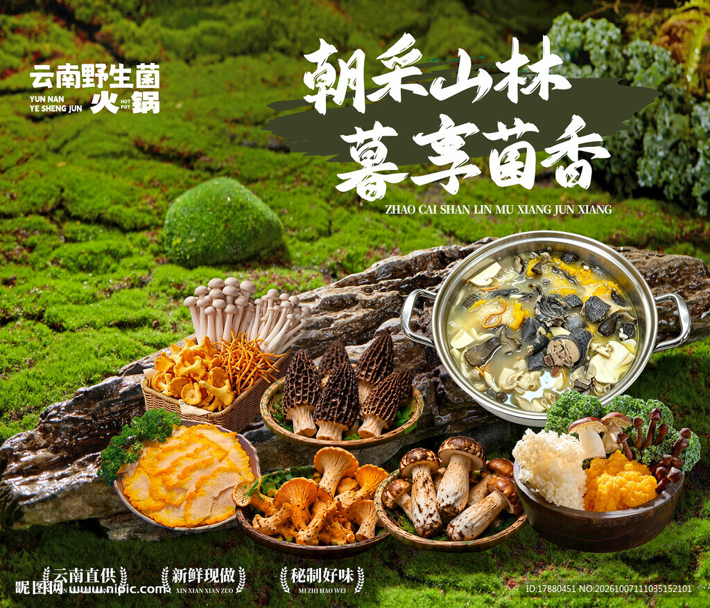 野生菌海报