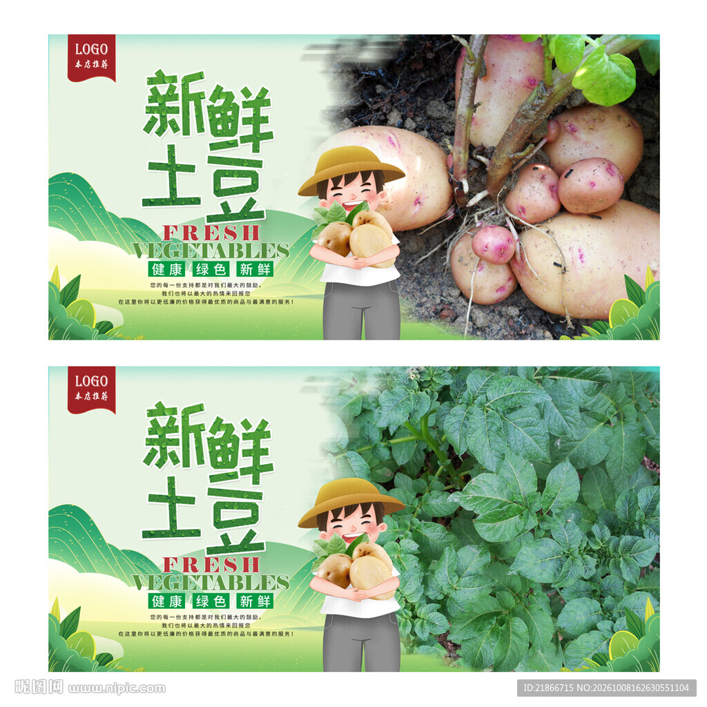 土豆