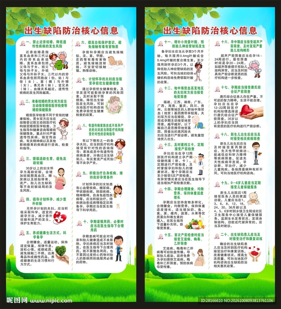 预防出生缺陷核心信息展架