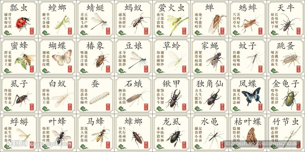 昆虫图鉴