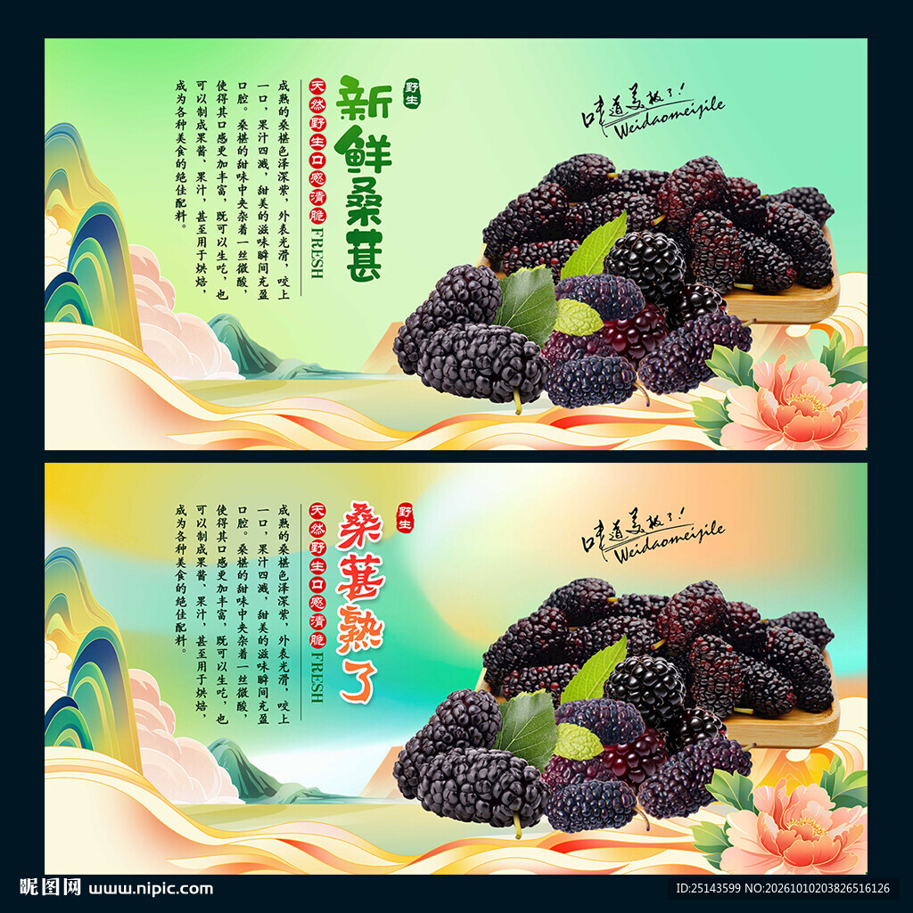 桑葚