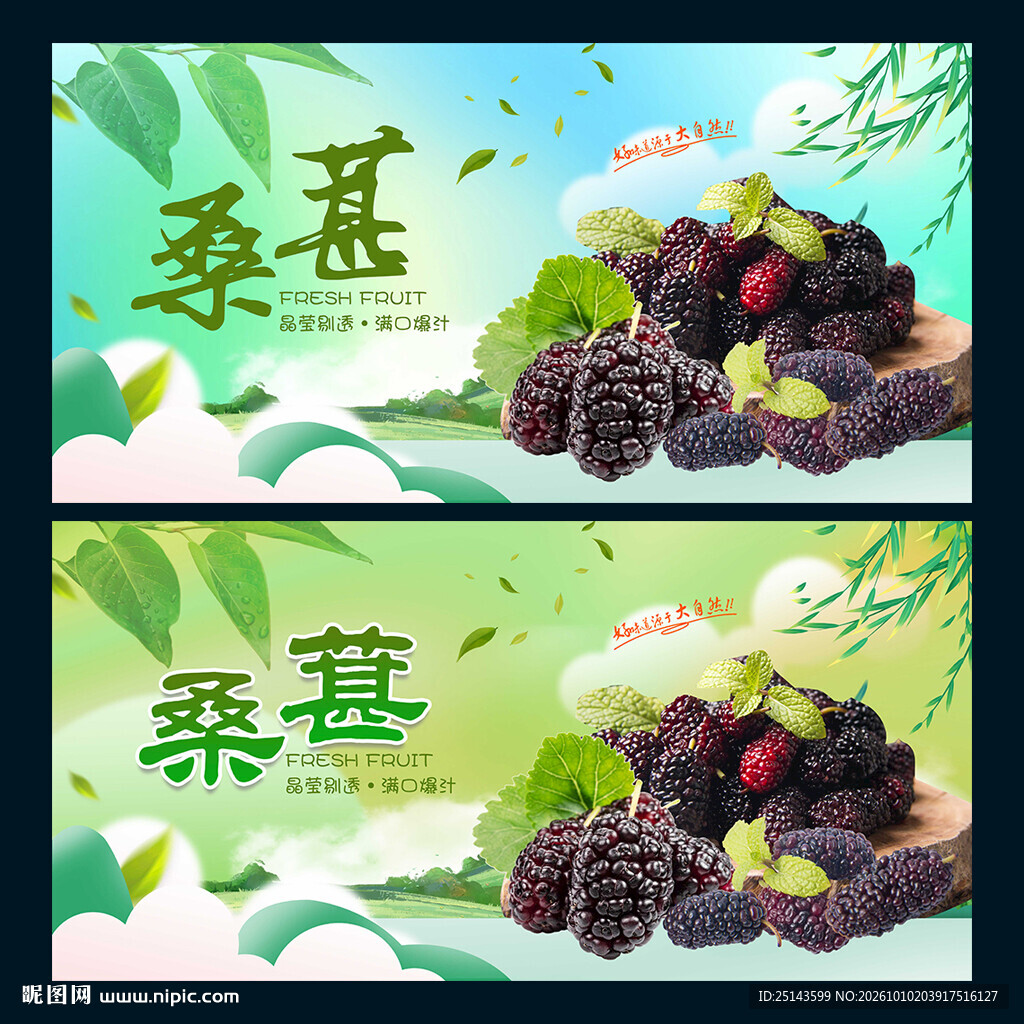 桑葚