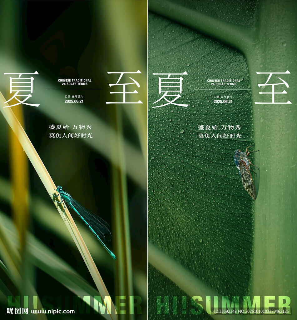 夏至节气创意海报