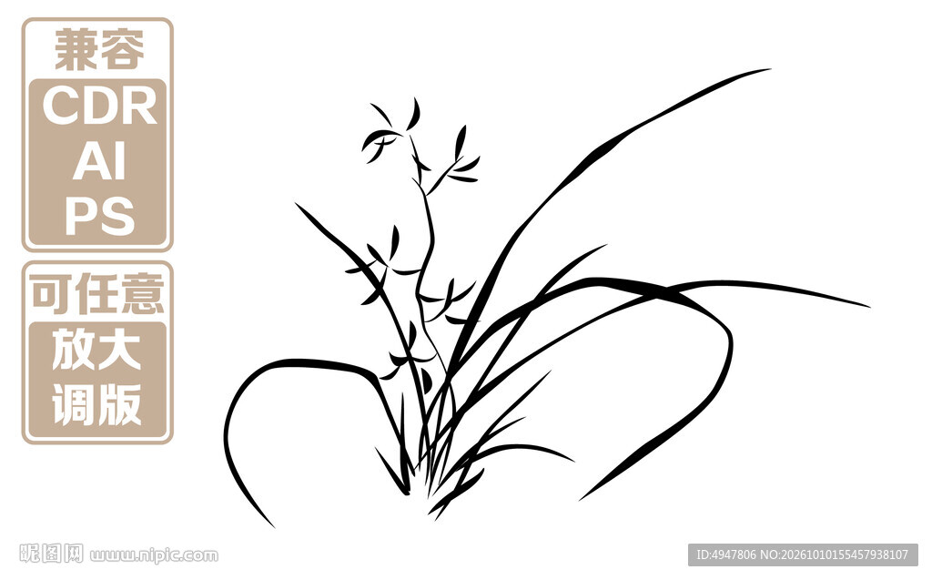 水墨白描兰草 矢量图