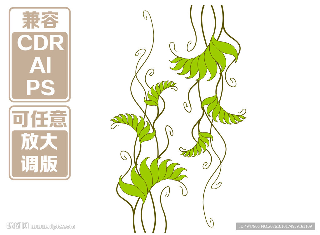 清新藤蔓植物装饰图案 矢量图 