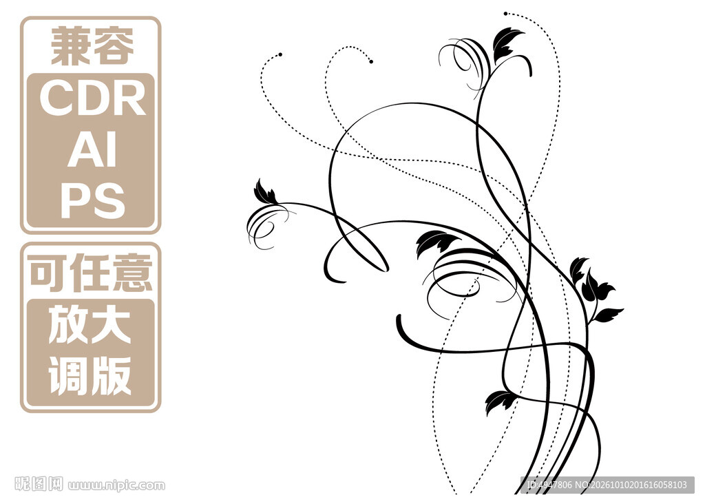 简约线描藤蔓装饰图案 矢量图 