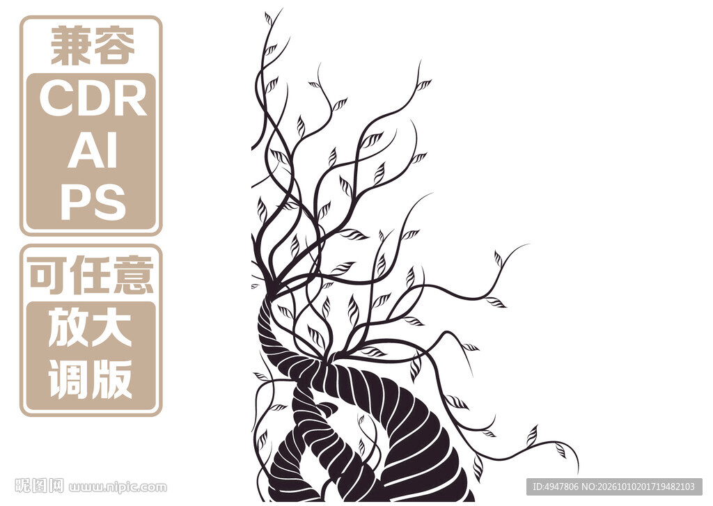 线描枯藤枝干装饰图案 矢量图 