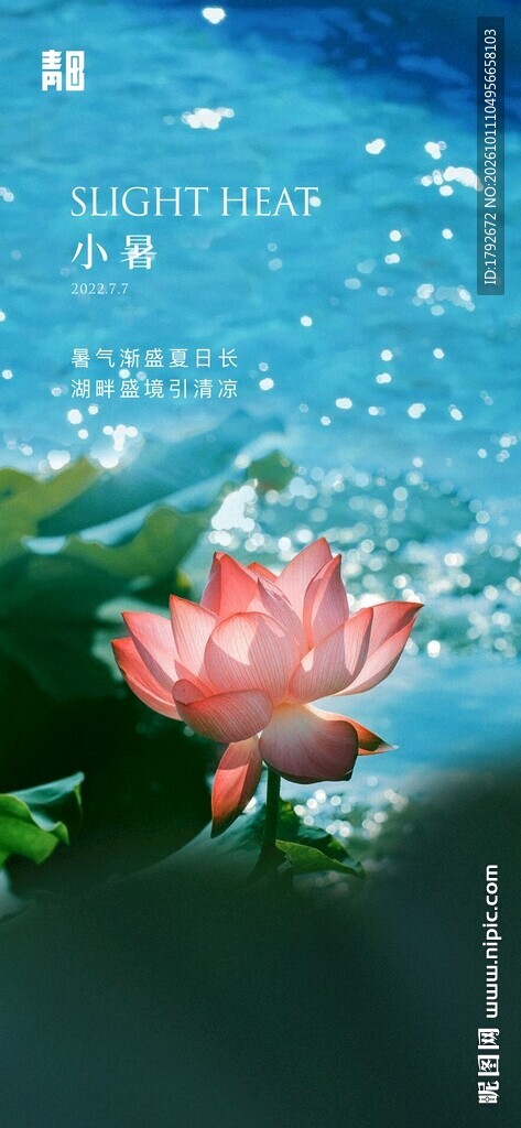 水彩写意荷塘红荷花