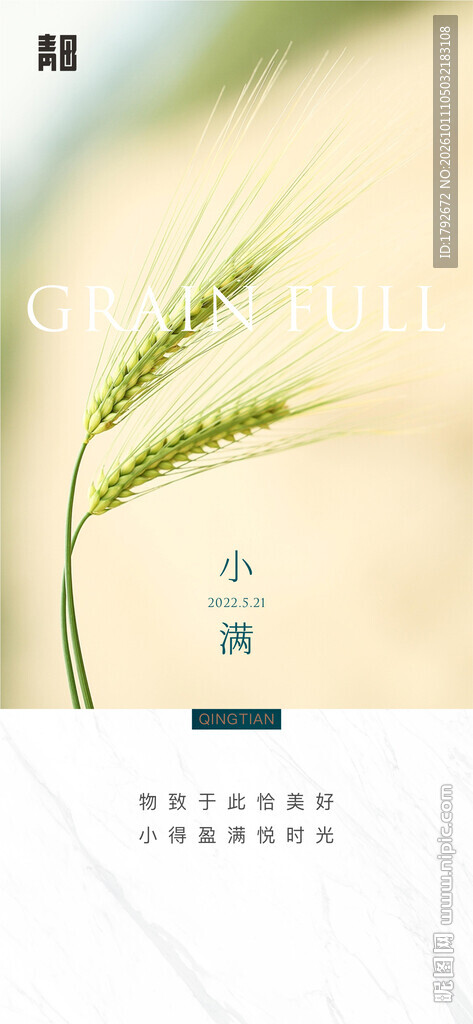 小满节气清新海报