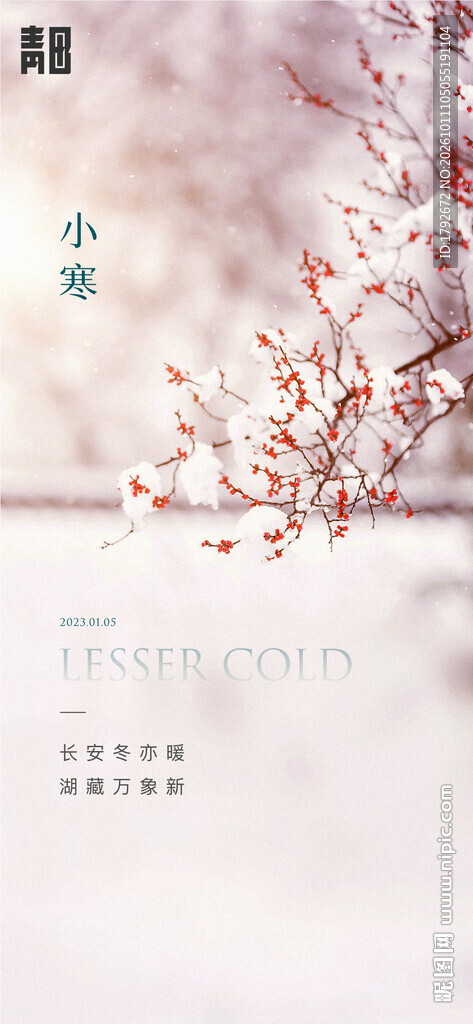 小寒节气唯美花枝海报
