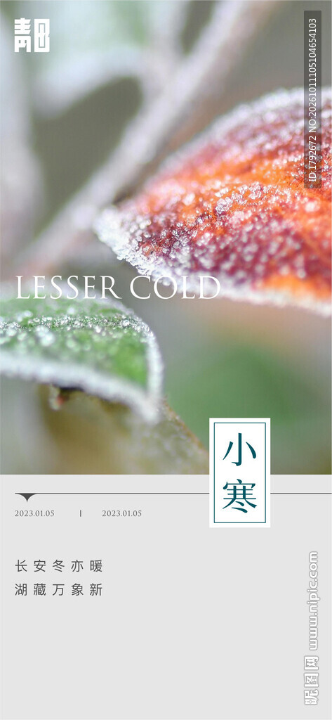 小寒节气国风手绘海报