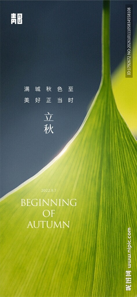立秋节气创意简约海报