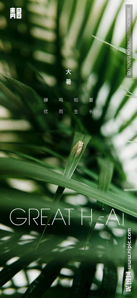 大暑节气