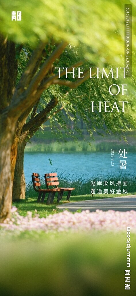 夏日湖畔林荫美景