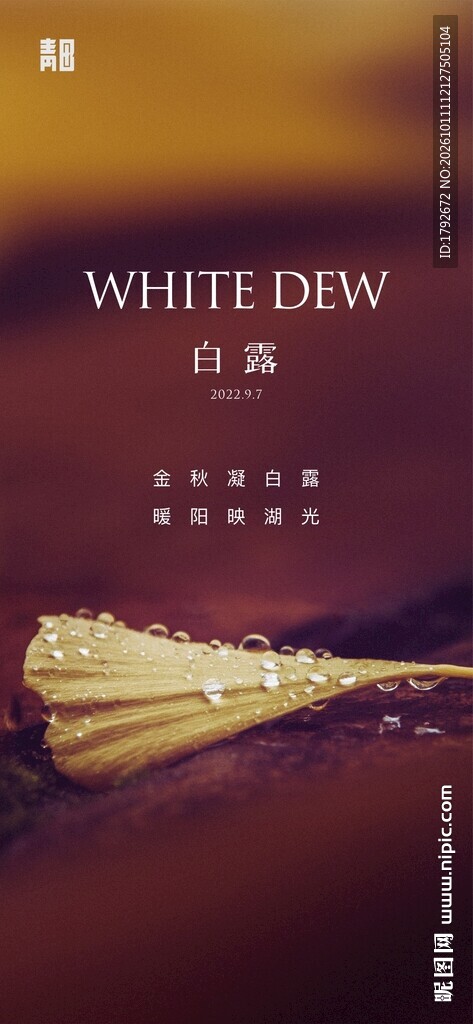 白露节气主题海报