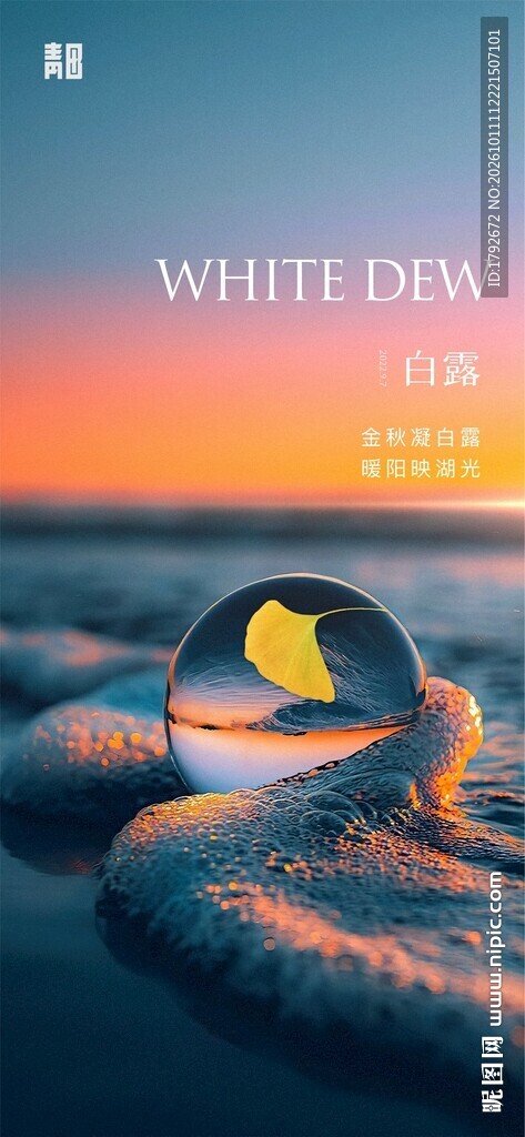 白露节气唯美创意海报