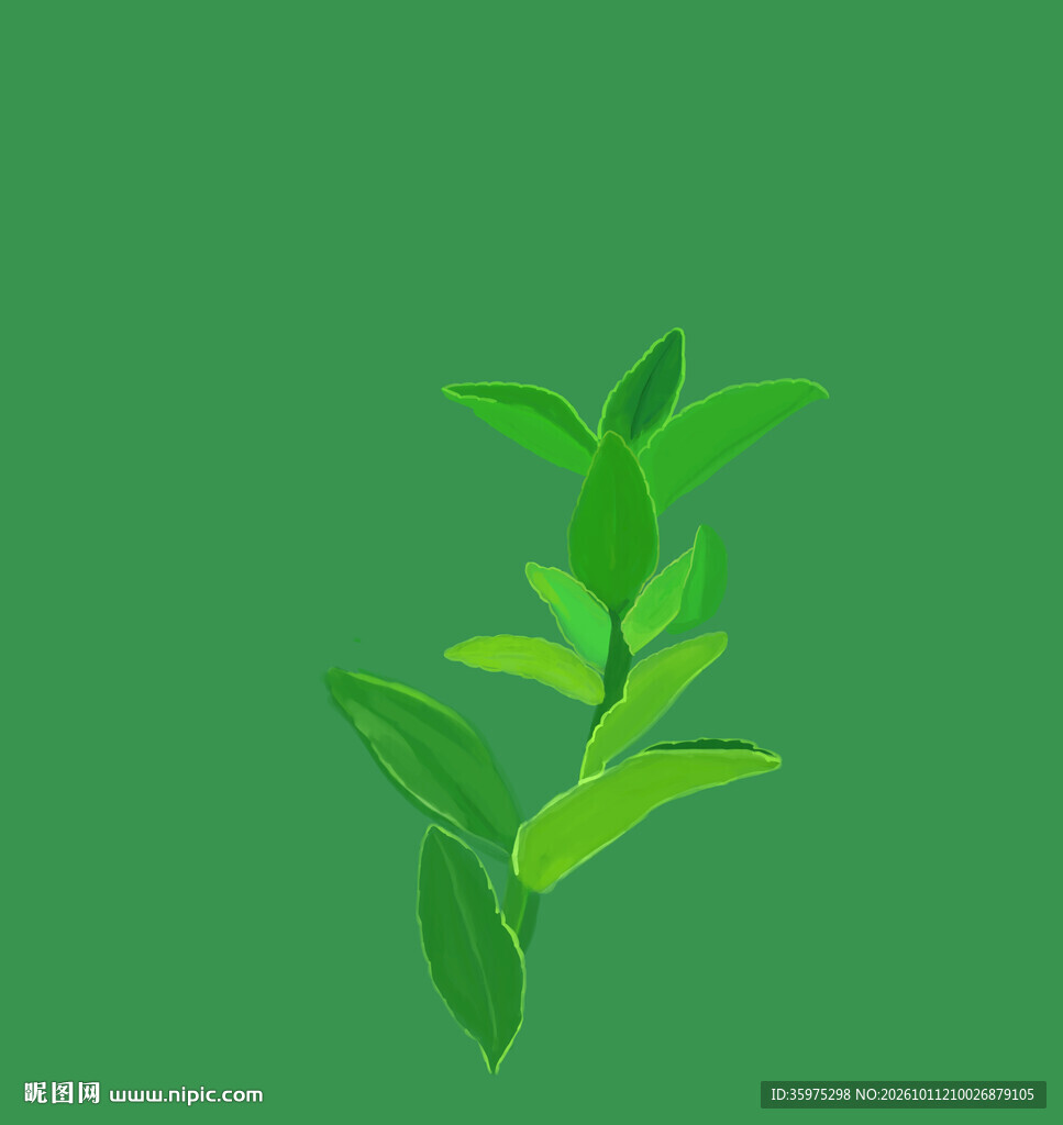 茶叶免扣元素