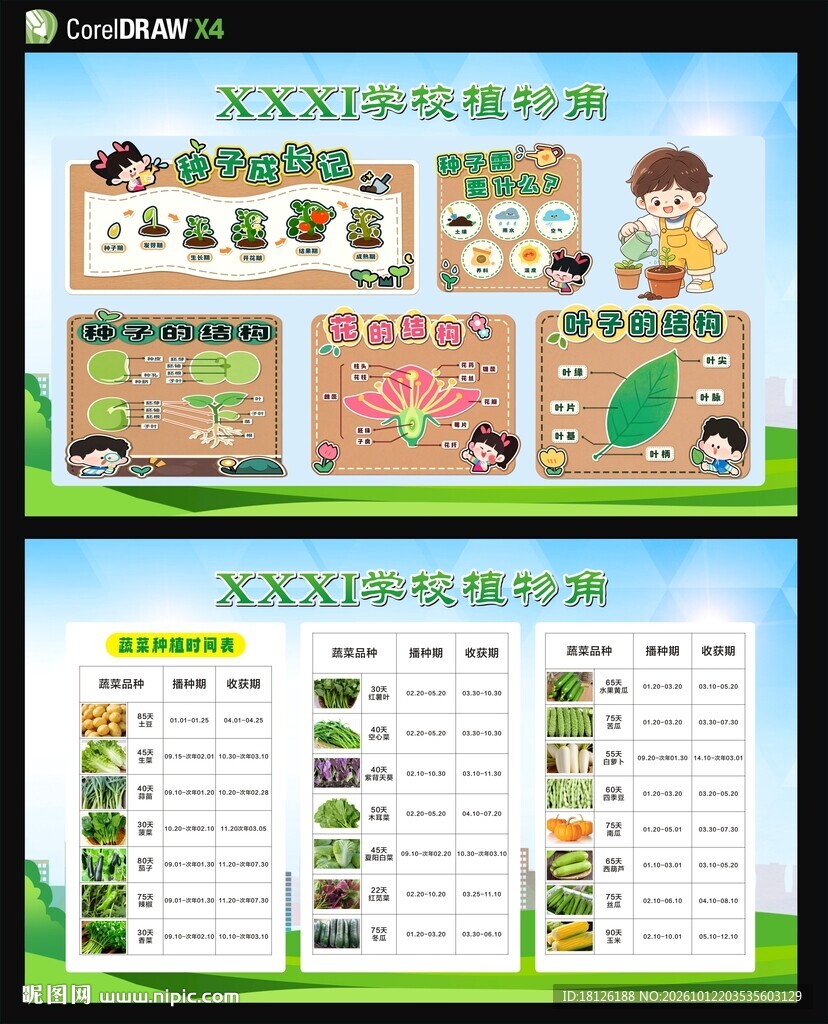 种子成长记