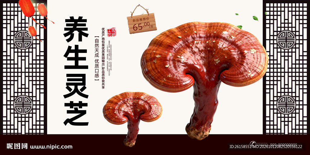 灵芝