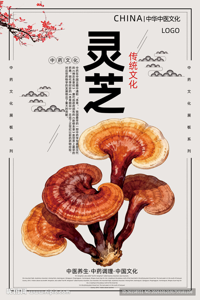 灵芝