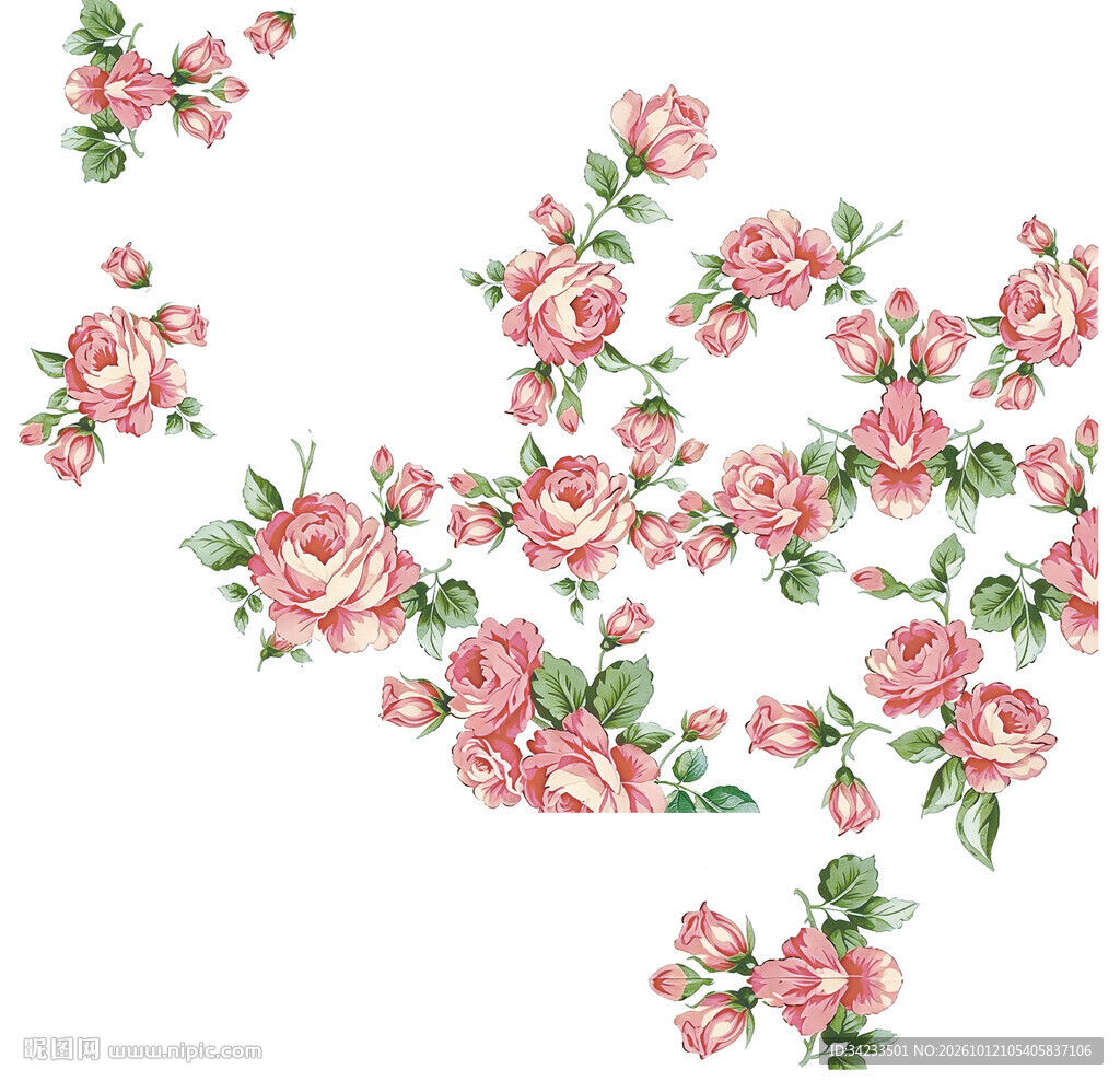 玫瑰花
