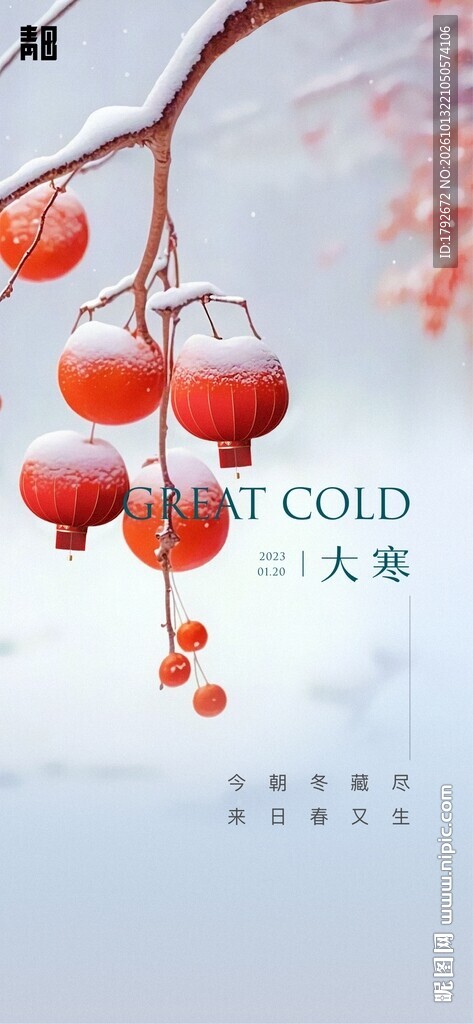 大寒节气红柿创意海报