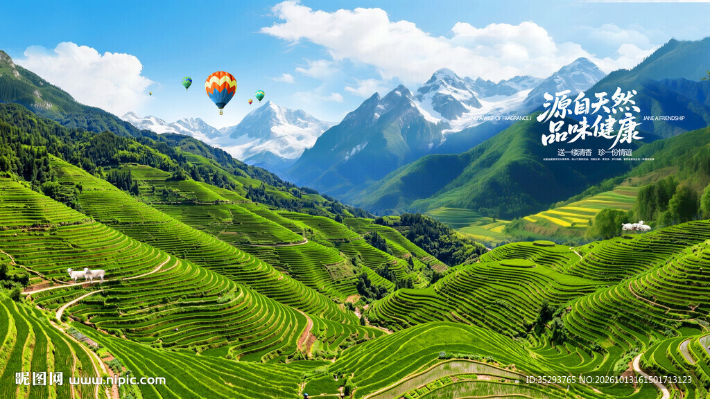 高山梯田