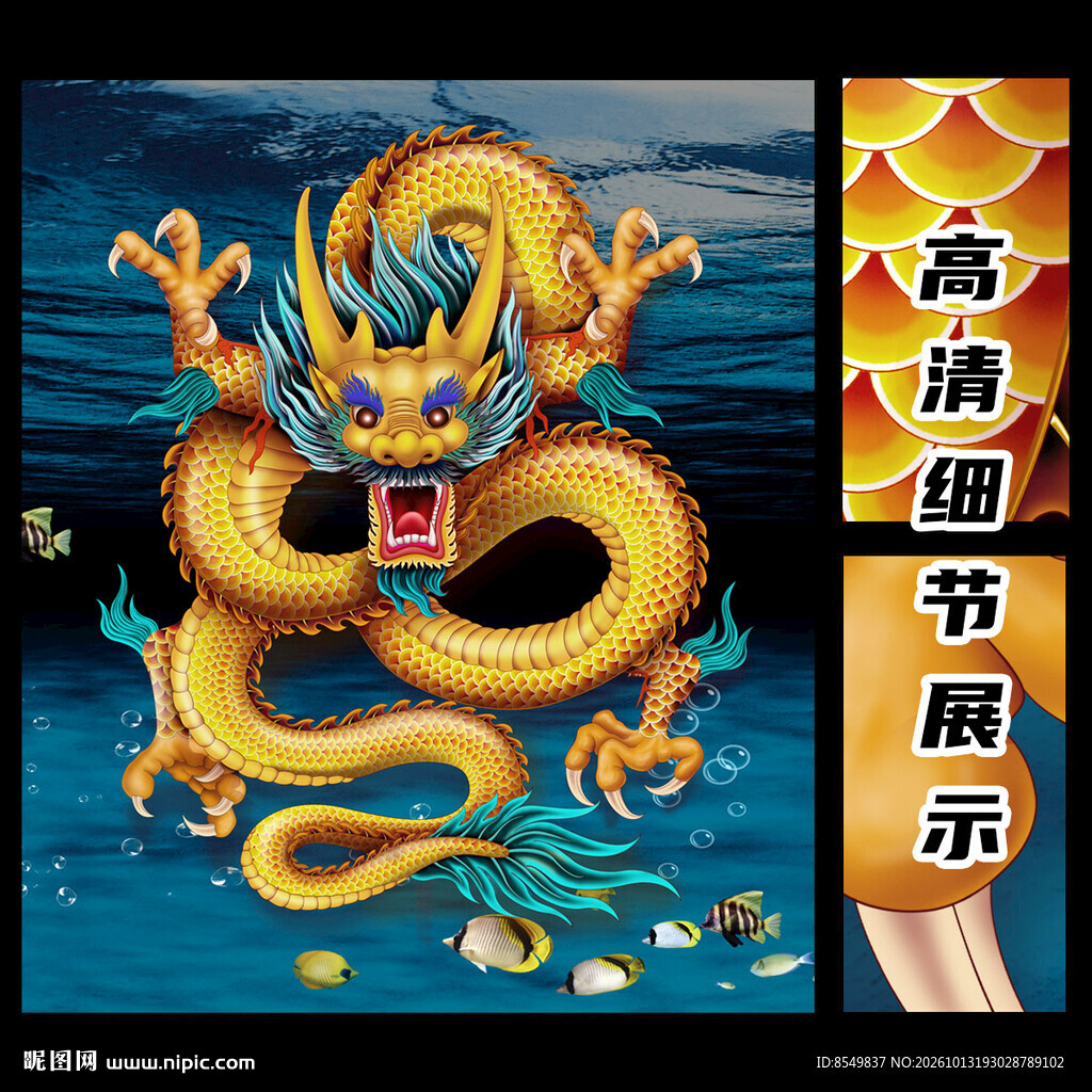 龙